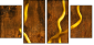 5382882
