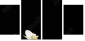 56375059