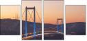58063281