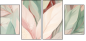 613444952