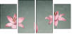 61954635