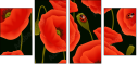64821989