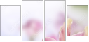 65612504