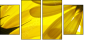 6606588