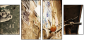7183828