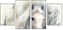 76649647