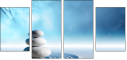 81478947