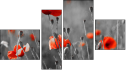 Viertychon - Vierteiliges Leinwandbild