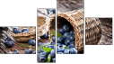 Viertychon - Vierteiliges Leinwandbild