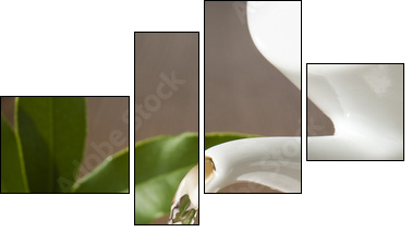 tea - Vierteiliges Leinwandbild, Viertychon