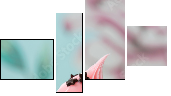 Cupcake - Vierteiliges Leinwandbild, Viertychon