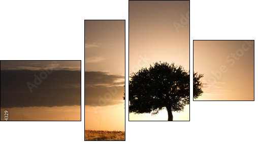 solitary oak tree in golden sunset - Vierteiliges Leinwandbild, Viertychon