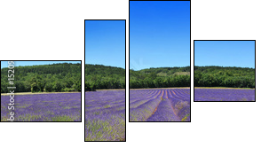 Panorama de provence - Vierteiliges Leinwandbild, Viertychon