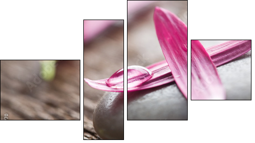 Flower petals - Vierteiliges Leinwandbild, Viertychon