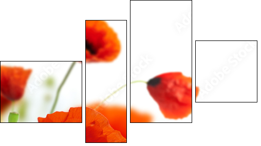 floral design, decoration flowers, poppies border - corner - Vierteiliges Leinwandbild, Viertychon