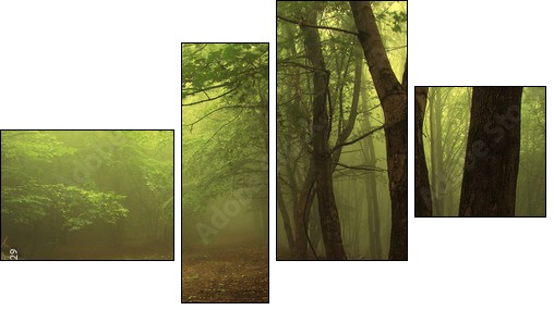 Green forest with fog - Vierteiliges Leinwandbild, Viertychon