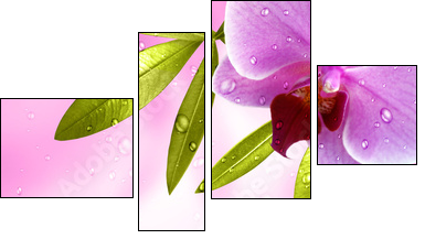 Wellness Motiv mit Orchidee - Vierteiliges Leinwandbild, Viertychon