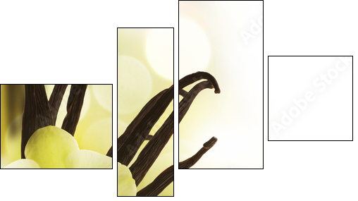 Beautiful Vanilla beans and flower over blurred background - Vierteiliges Leinwandbild, Viertychon