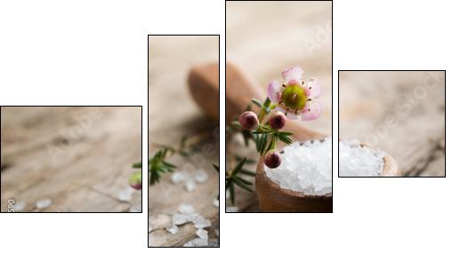 Bath salt - Vierteiliges Leinwandbild, Viertychon