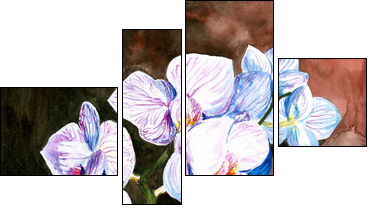 Orchid watercolor painted. - Vierteiliges Leinwandbild, Viertychon