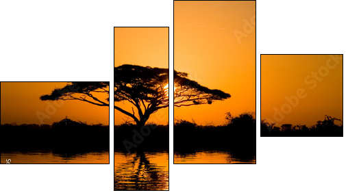 acacia tree at sunrise - Vierteiliges Leinwandbild, Viertychon