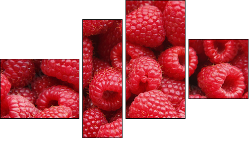 Sweet raspberry - Vierteiliges Leinwandbild, Viertychon