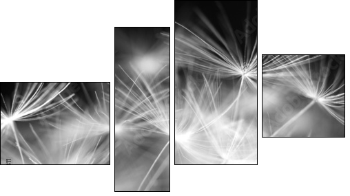 Macro beauty dandelion - Vierteiliges Leinwandbild, Viertychon