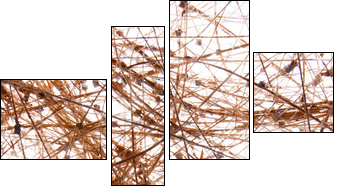 sisal background - Vierteiliges Leinwandbild, Viertychon