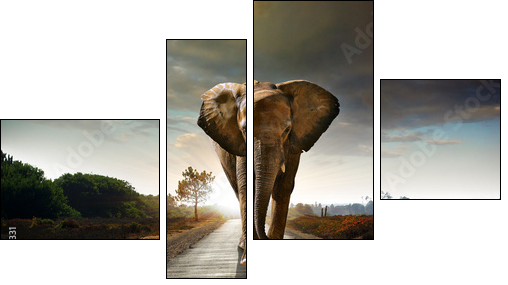 Walking Elephant - Vierteiliges Leinwandbild, Viertychon