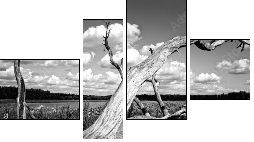Drzewo - Vierteiliges Leinwandbild, Viertychon