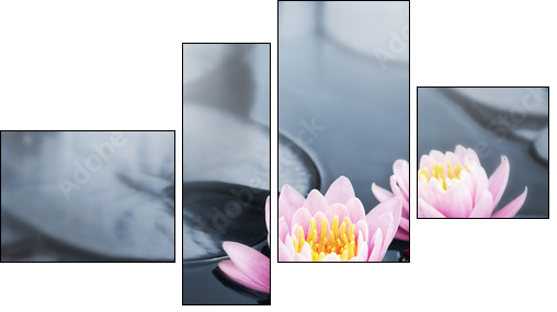 Lotus blossoms - Vierteiliges Leinwandbild, Viertychon