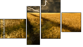 thunderstorm over a golden  barley field - Vierteiliges Leinwandbild, Viertychon