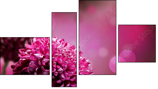 Dahlia Autumn flower design. With copy-space - Vierteiliges Leinwandbild, Viertychon