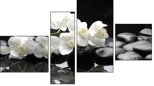 Close up white orchid with stone water drops - Vierteiliges Leinwandbild, Viertychon