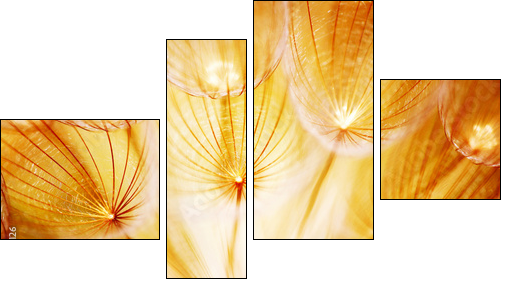 Soft dandelion flower - Vierteiliges Leinwandbild, Viertychon
