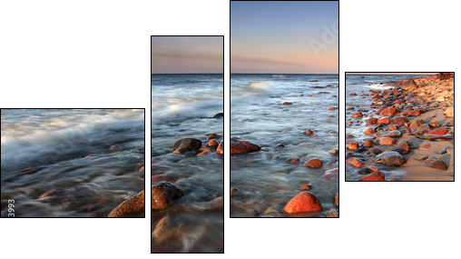 Coast in baltic - Vierteiliges Leinwandbild, Viertychon
