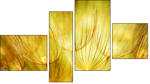 Soft dandelion flower - Vierteiliges Leinwandbild, Viertychon