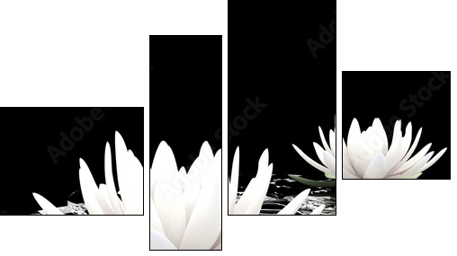 3d lotus on water - Vierteiliges Leinwandbild, Viertychon