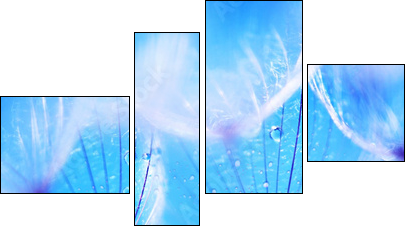 Soft dandelion flowers - Vierteiliges Leinwandbild, Viertychon