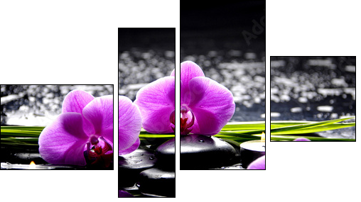Spa still life with set of pink orchid and stones reflection - Vierteiliges Leinwandbild, Viertychon