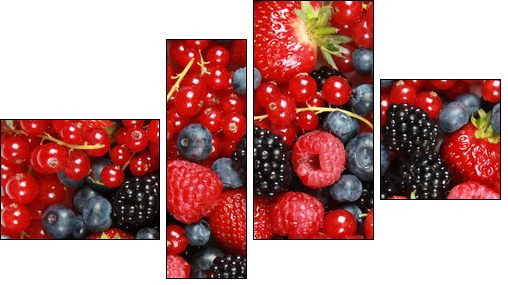 Beeren - Vierteiliges Leinwandbild, Viertychon