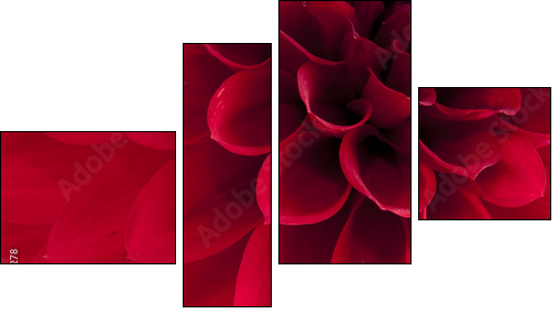 Dahlia - Vierteiliges Leinwandbild, Viertychon