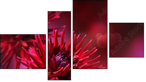 Dahlia Autumn flower design - Vierteiliges Leinwandbild, Viertychon