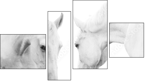 white horses - Vierteiliges Leinwandbild, Viertychon