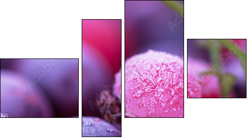 Frozen berries - Vierteiliges Leinwandbild, Viertychon