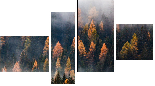 autumn nature background forest in fog - Vierteiliges Leinwandbild, Viertychon