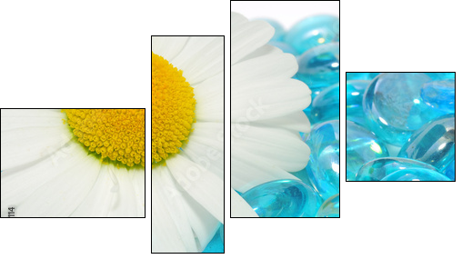 Daisy Flowers on Blue Glass Stones - Vierteiliges Leinwandbild, Viertychon