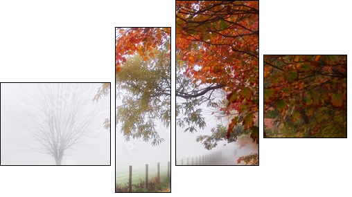 misty autumn morning - Vierteiliges Leinwandbild, Viertychon