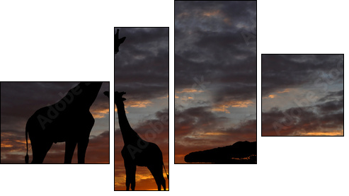 giraffes in the sunset - Vierteiliges Leinwandbild, Viertychon