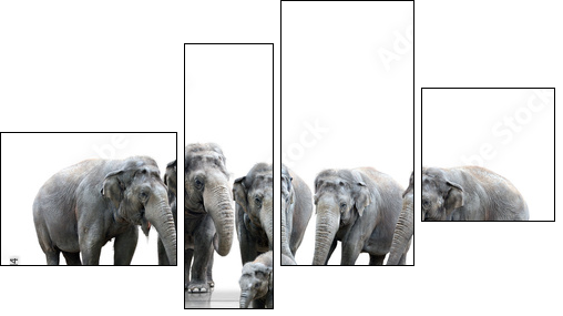 Elefantenherde - Vierteiliges Leinwandbild, Viertychon